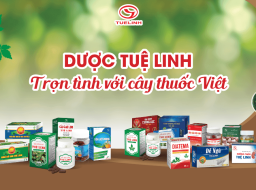 Công ty dược Tuệ Linh – 15 năm trọn tình với cây thuốc Việt
