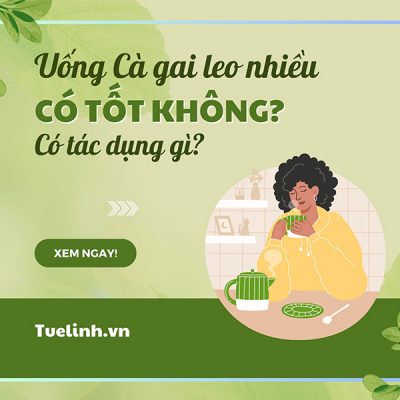 Uống nước cây cà gai leo có tác dụng gì, uống nhiều có tốt không?