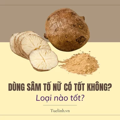 Dùng sâm tố nữ có tốt không? Sâm tố nữ loại nào tốt nhất?
