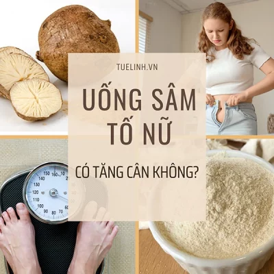 Uống Sâm tố nữ có tăng cân không? Có béo không?